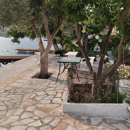 Geni Bay Yénion